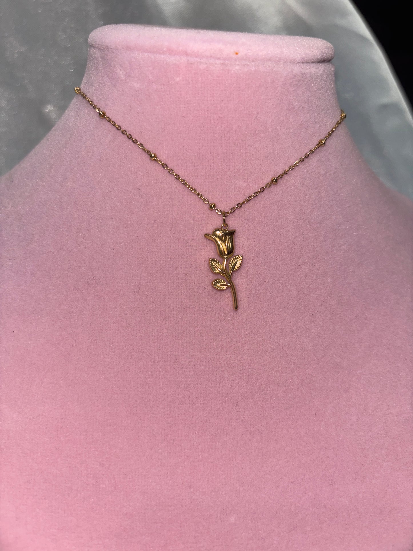 Touch of Rose
